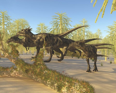 Framed herd of Dracorex dinosaurs walk through a carboniferous forest Print