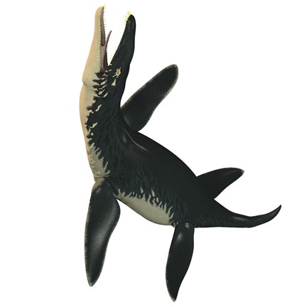 Framed Liopleurodon, a large carnivorous marine reptile Print