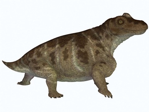 Framed Keratocephalus, a semi-aquatic dinosaur from the Permian Age Print