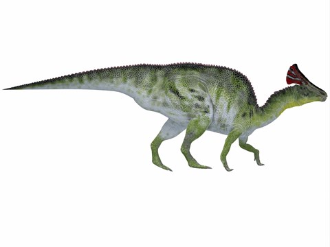 Framed Olorotitan, a duckbilled dinosaur from the Cretaceous Period Print