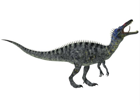 Framed Suchomimus, a large dinosaur from the Cretaceous Period Print