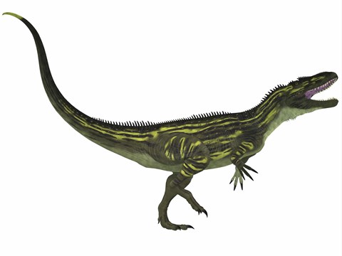 Framed Torvosaurus, a large theropod dinosaur from the Jurassic Period Print