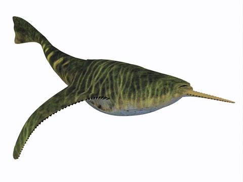 Framed Doryaspis is an extinct genus of primitive jawless fish Print