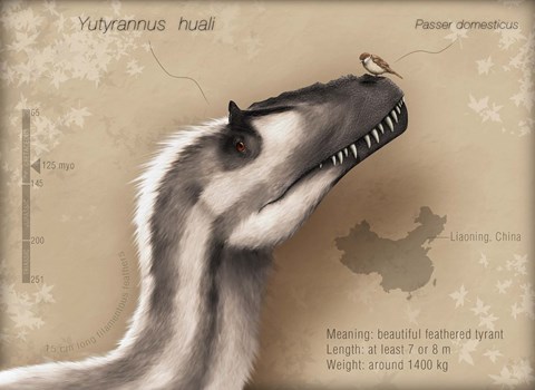 Framed Yutyrannus huali is a feathered tyrannosauroid from the Early Cretacous of China Print