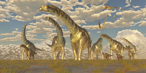 Framed Hypsilophodon and pteranodon dinosaurs accompany a herd of Argentinosaurus Print
