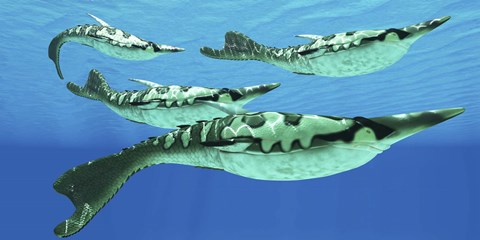 Framed Pteraspis is an extinct genus of jawless ocean fish that lived in the Devonian period Print