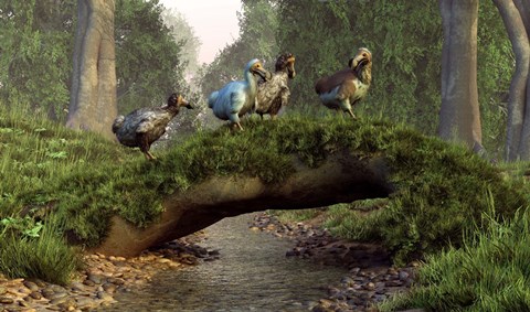 Framed group of Dodo birds crossing a natural bridge over a stream Print