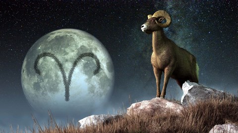 Framed Aries is the first astrological sign of the Zodiac Print