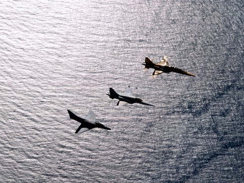 Framed F-5F Tiger II, F-5E Tiger II and A-4 Skyhawk Print