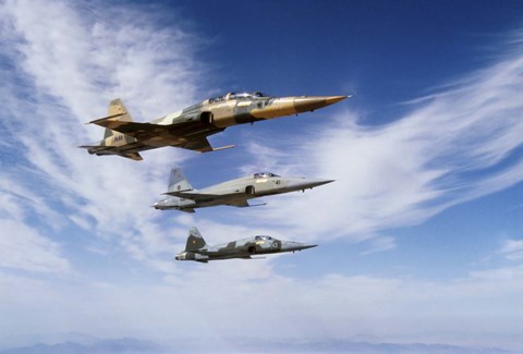 Framed F-5F Tiger II leads two F-5E's during a training flight Print