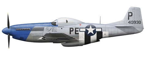 Framed P-51D Mustang assigned to the 328th Fighter Squadron Print