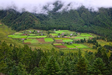 Framed Houses and Farmlands, Gangtey Village, Bhutan Print