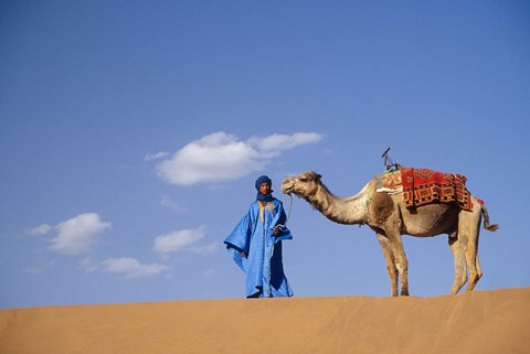 Framed Man leading camel on sand dunes, Tinfou (near Zagora), Morocco, Africa Print