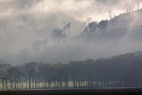 Framed Mist rising from escarpment, Lake Nakuru National Park, Kenya Print