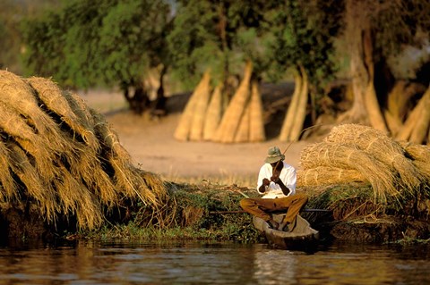 Framed Local Man Fishing and Piles of Straw for Hatch, Okavango Delta, Botswana Print