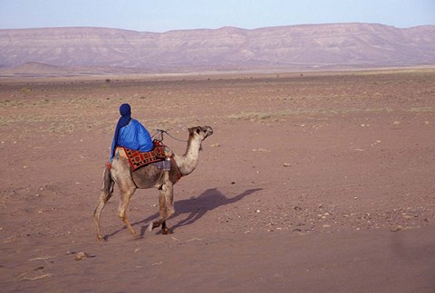 Framed Man in Traditional Dress Riding Camel, Morocco Print