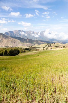 Framed Grassy plains, Semien Mountains National Park, Ethiopia Print