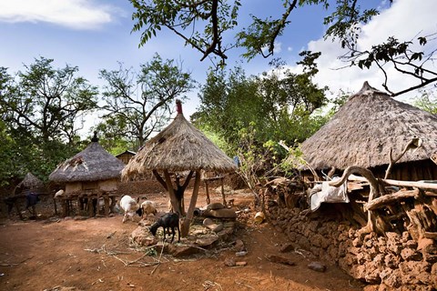 Framed Konso village, Rift Valley, family compound, Ethiopia, Africa Print