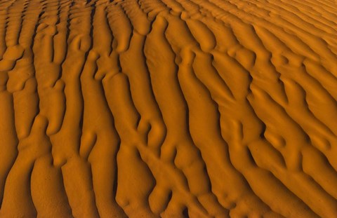 Framed Natural sand patterns, Sahara, Douz, Tunisi, Africa Print