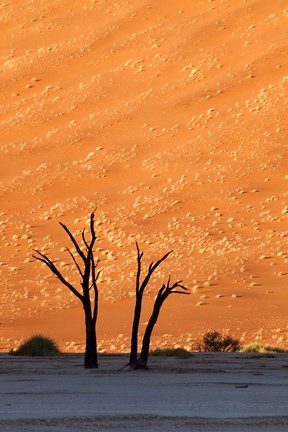 Framed Namibia, Namib-Naukluft, Sossusvlei Desert, Dead Vlei Print