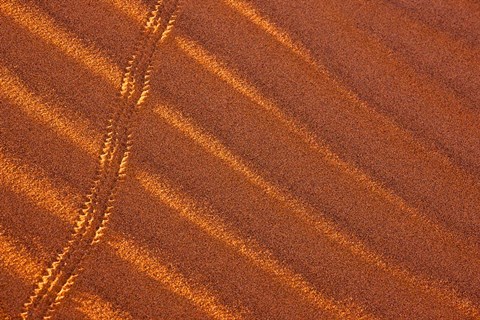 Framed Sand patterns, Namib-Naukluft National Park, Namibia Print