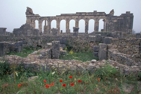 Framed Red Poppies near Basilica in Ancient Roman City, Morocco Print