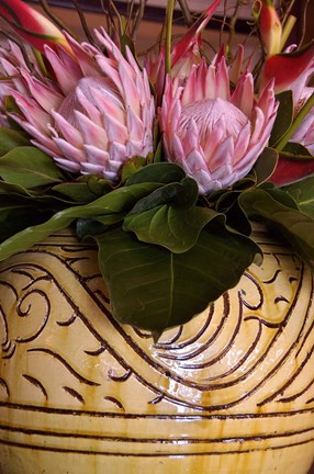 Framed Queen Protea and Heliconia, Umhlanga Rocks, Durban, Kwazulu Natal, South Africa Print