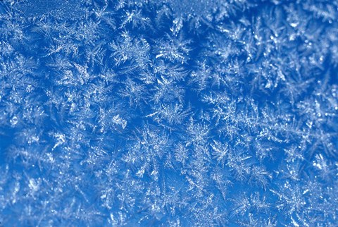 Framed Pattern of Winter Frost on Glass Print