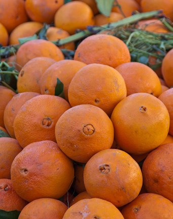 Framed Oranges for sale in Fes market Morocco Print