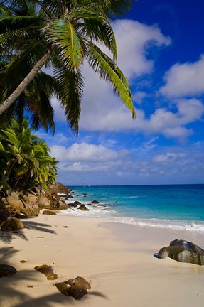 Framed Serene Anse Victorin Beach, Seychelles, Africa Print