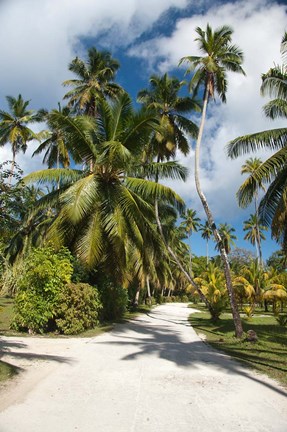 Framed Seychelles, La Digue, Palm lined country path Print