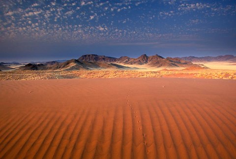 Framed Sand Patterns, Sossosvlei Dunes, Namibia Print