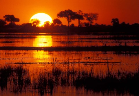 Framed Setting Sun over Lush Banks, Chobe National Park, Botswana Print