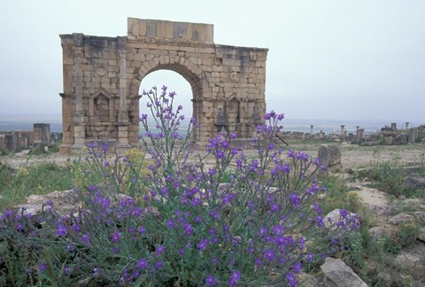 Framed Ruins of Triumphal Arch in Ancient Roman city, Morocco Print