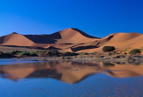 Framed Sossusvlei Dunes Oasis, Namib National Park, Namibia Print
