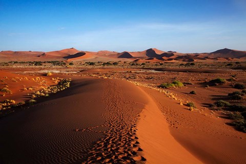 Framed Sand dune, near Sossusvlei, Namib-Naukluft NP, Namibia, Africa. Print