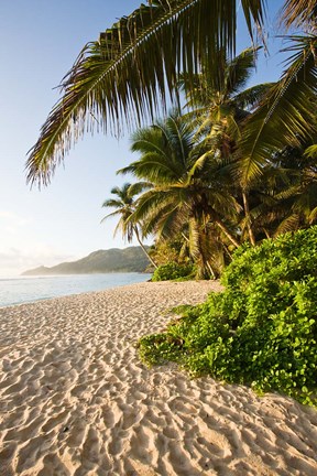 Framed Seychelles, Mahe Island, Anse Marie-Louise, dawn Print