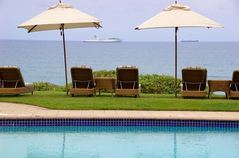 Framed South Africa, KwaZulu Natal, Beverly Hills Hotel Print