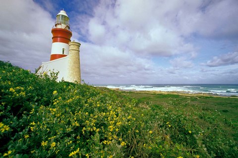 Framed South Africa, Cape Agulhas Lighthouse Print