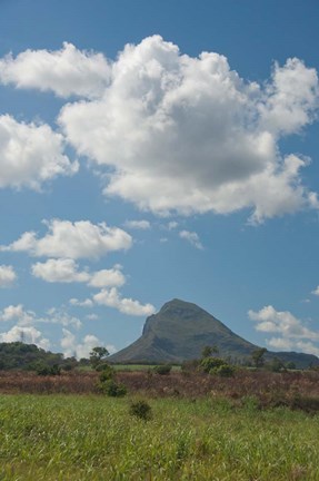 Framed Sugar Cane Fields, Mauritius Print