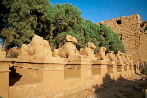 Framed Sphinxes, Temple of Karnak, Temple of Luxor, Avenue of Sphinxes, Luxor, Egypt Print