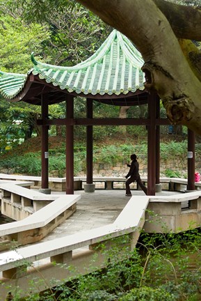 Framed Tai Chi Chuan in the Chinese Garden Pavilion at Kowloon Park, Hong Kong, China Print