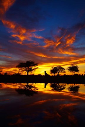 Framed Sunrise, Okaukuejo Rest Camp, Etosha National Park, Namibia Print