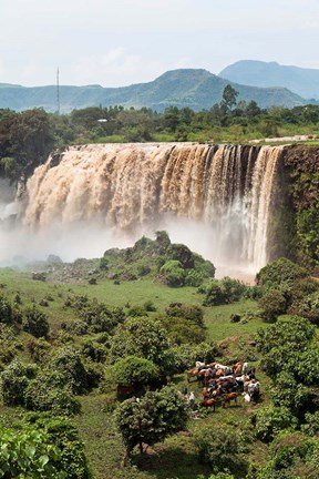 Framed Tis Isat, waterfall, Blue Nile, Ethiopia Print