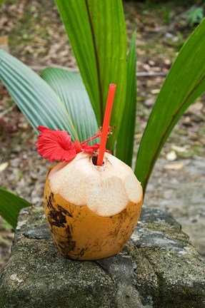 Framed Tropical cocktail drink on Fregate Island, Seychelles Print