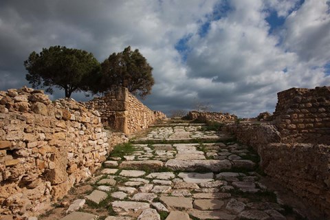 Framed Tunisia, Carthage, Roman Villas, Ancient Architecture Print