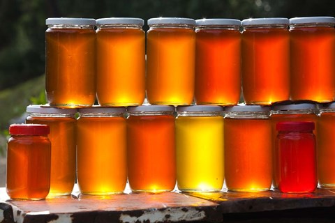 Framed Tunisia, Nefza, local honey, agriculture Print