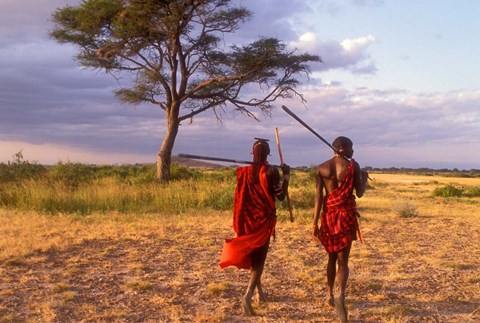 Framed Two Maasai Morans Walking with Spears at Sunset, Amboseli National Park, Kenya Print