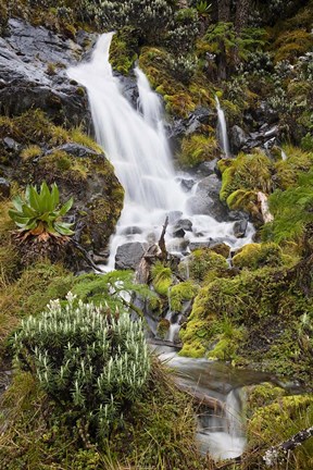 Framed Waterfall at Mount Stanley, Ruwenzori, Uganda Print
