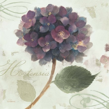 Framed Abundant Hydrangea II Blue Green Print